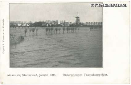 Maassluis, Stormvloed 1905, Januari 1905. Ondergeloopen Taanschuurpolder
