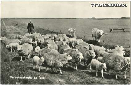 Texel, De schaapherder