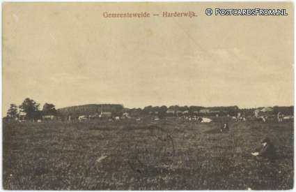 Harderwijk, Gemeenteweide