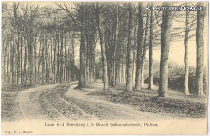 Putten, Laan b.d. Boerderij i.h. Bosch Schoonderbeek