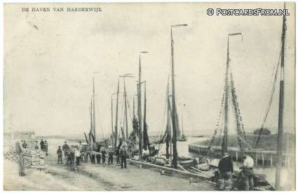 Harderwijk, De Haven