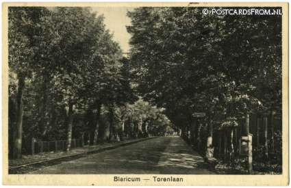 Blaricum, Torenlaan