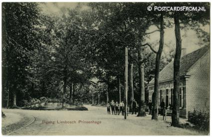 Princenhage, Ingang Liesbosch